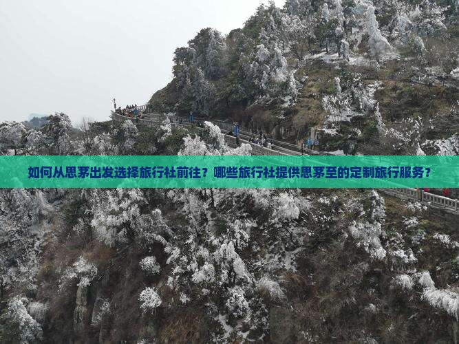如何从思茅出发选择旅行社前往？哪些旅行社提供思茅至的定制旅行服务？