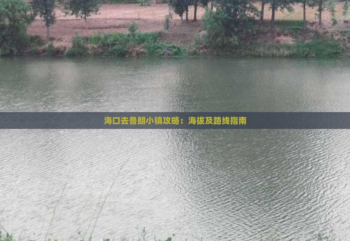 海口去鲁朗小镇攻略：海拔及路线指南
