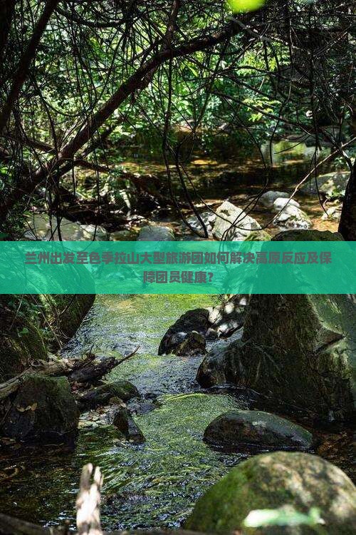 兰州出发至色季拉山大型旅游团如何解决高原反应及保障团员健康？