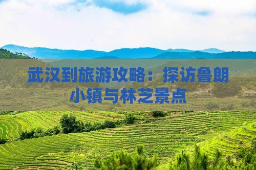 武汉到旅游攻略：探访鲁朗小镇与林芝景点