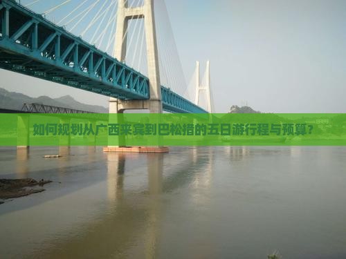 如何规划从广西来宾到巴松措的五日游行程与预算？