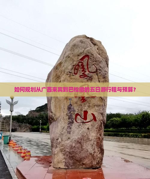 如何规划从广西来宾到巴松措的五日游行程与预算？
