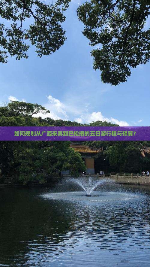 如何规划从广西来宾到巴松措的五日游行程与预算？