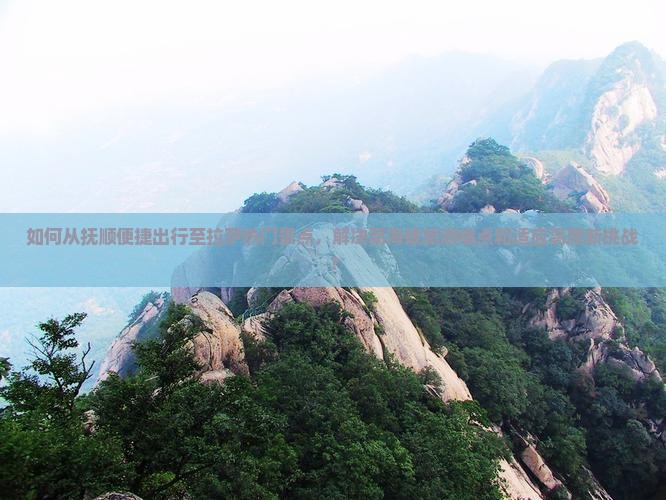 如何从抚顺便捷出行至拉萨热门景点，解决高海拔旅游痛点和适应高原新挑战？