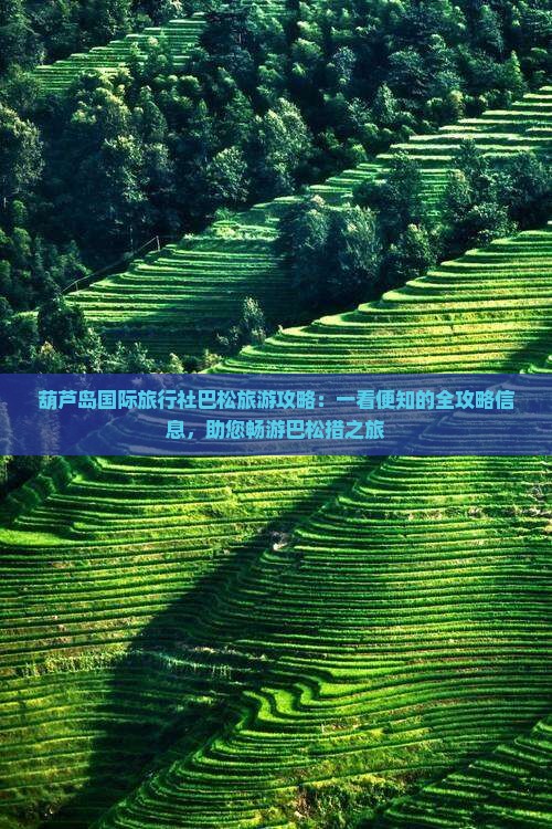 葫芦岛国际旅行社巴松旅游攻略：一看便知的全攻略信息，助您畅游巴松措之旅