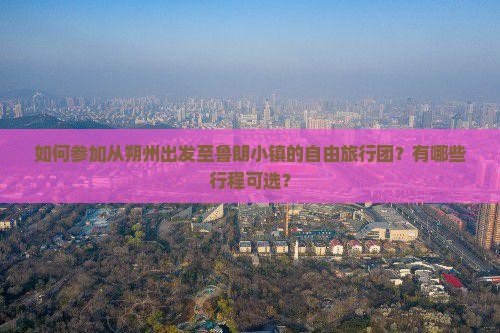如何参加从朔州出发至鲁朗小镇的自由旅行团？有哪些行程可选？