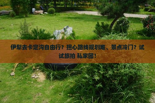 伊犁去卡定沟自由行？担心路线规划难、景点冷门？试试旅拍+私家团！