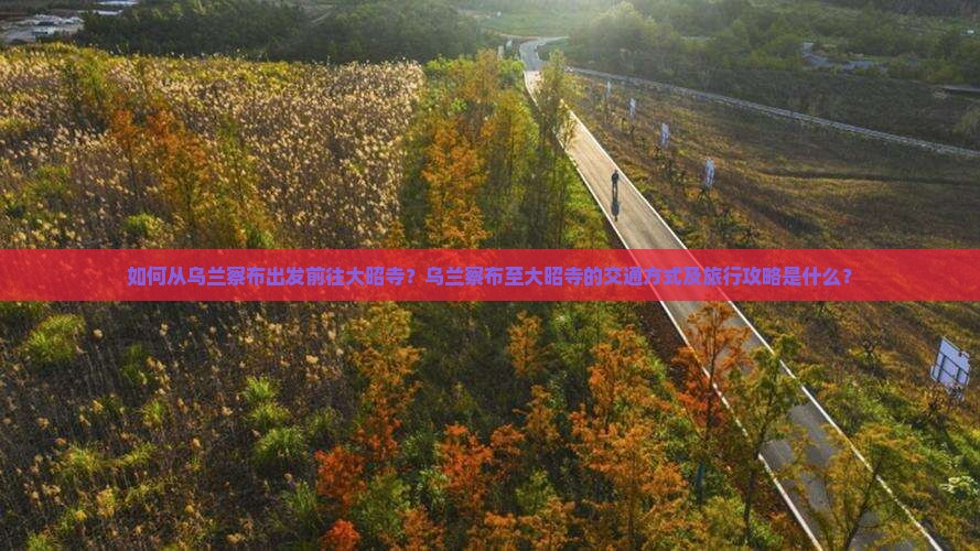 如何从乌兰察布出发前往大昭寺？乌兰察布至大昭寺的交通方式及旅行攻略是什么？
