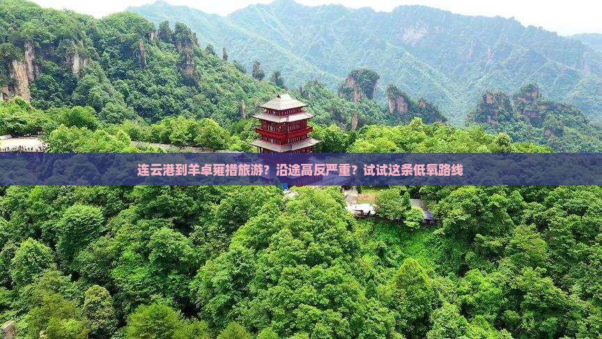 连云港到羊卓雍措旅游？沿途高反严重？试试这条低氧路线