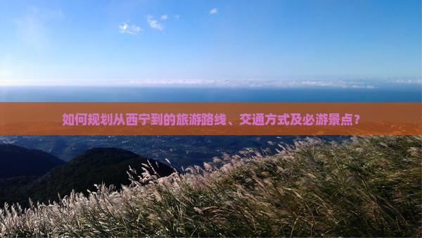 如何规划从西宁到的旅游路线、交通方式及必游景点? 如何规划从西宁到的旅游路线、交通方式及必游景点?