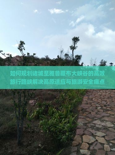 如何规划诸城至雅鲁藏布大峡谷的高效旅行路峡解决高原适应与旅游安全痛点！