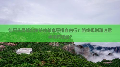 如何从昌都出发前往羊卓雍措自由行？路线规划和注意事项有哪些？