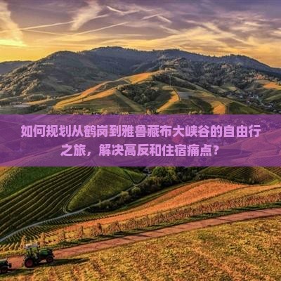 如何规划从鹤岗到雅鲁藏布大峡谷的自由行之旅，解决高反和住宿痛点？
