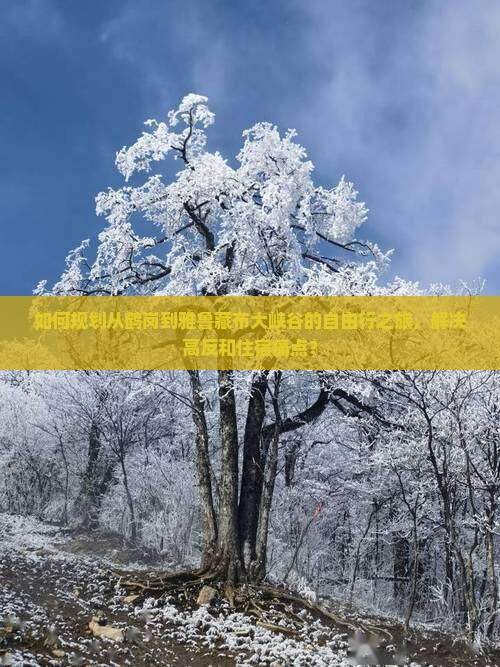 如何规划从鹤岗到雅鲁藏布大峡谷的自由行之旅，解决高反和住宿痛点？