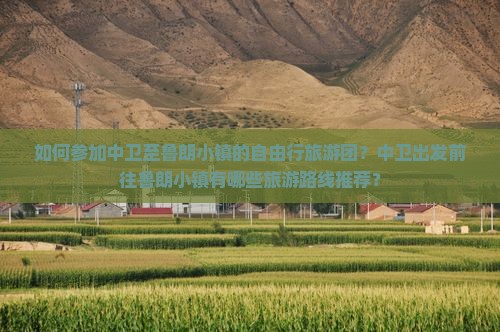 如何参加中卫至鲁朗小镇的自由行旅游团？中卫出发前往鲁朗小镇有哪些旅游路线推荐？