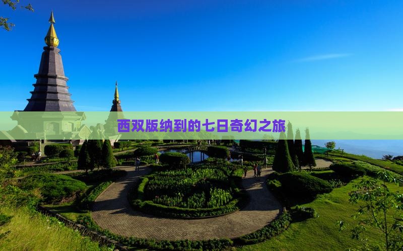 西双版纳到的七日奇幻之旅