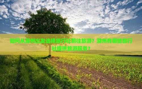 如何从滁州出发选择旅行社前往旅游？滁州有哪些旅行社提供旅游服务？