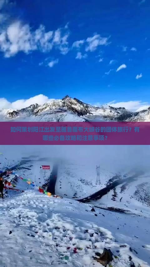 如何策划阳江出发至雅鲁藏布大峡谷的团体旅行？有哪些必备攻略和注意事项？