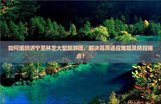 如何组织济宁至林芝大型旅游团，解决高原适应难题及防控痛点？