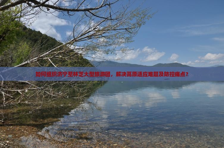 如何组织济宁至林芝大型旅游团，解决高原适应难题及防控痛点？