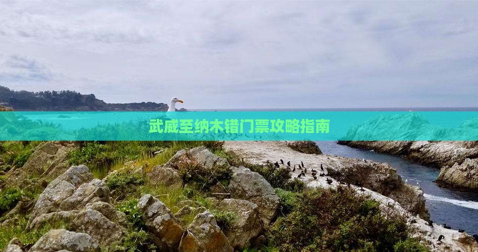 武威至纳木错门票攻略指南