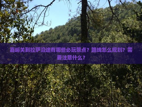 嘉峪关到拉萨沿途有哪些必玩景点？路线怎么规划？需要注意什么？