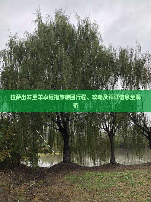 拉萨出发至羊卓雍措旅游团行程、攻略及预订信息全解析
