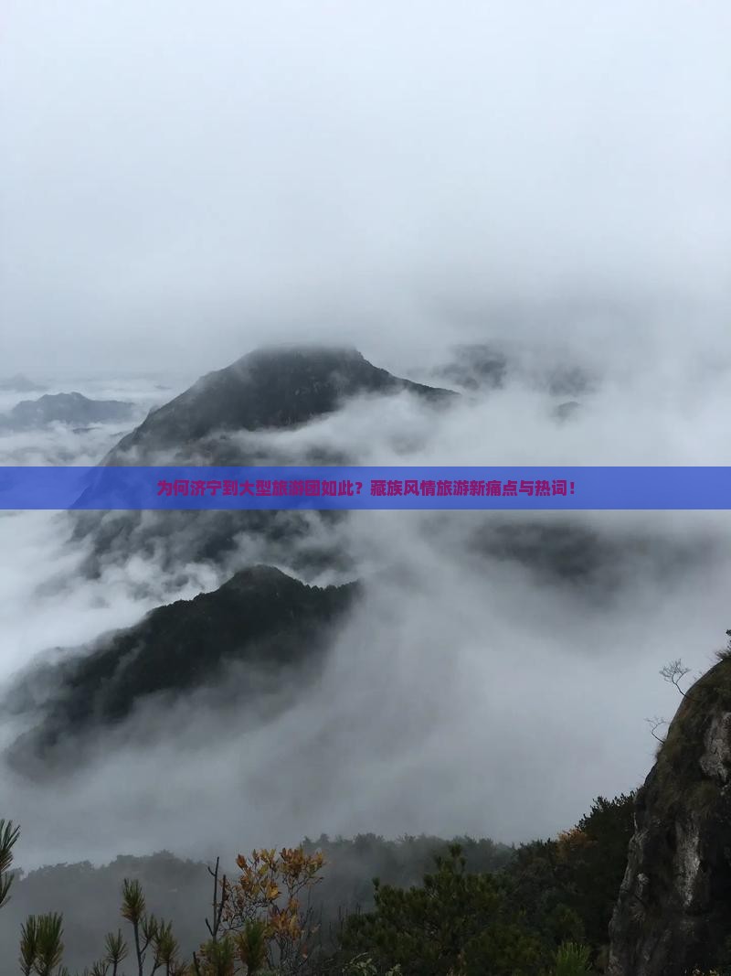 为何济宁到大型旅游团如此？藏族风情旅游新痛点与热词！