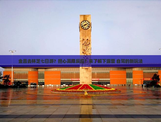 金昌去林芝七日游？担心高原反应？来了解下露营+自驾的新玩法