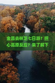金昌去林芝七日游？担心高原反应？来了解下露营+自驾的新玩法