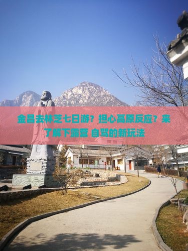 金昌去林芝七日游？担心高原反应？来了解下露营+自驾的新玩法