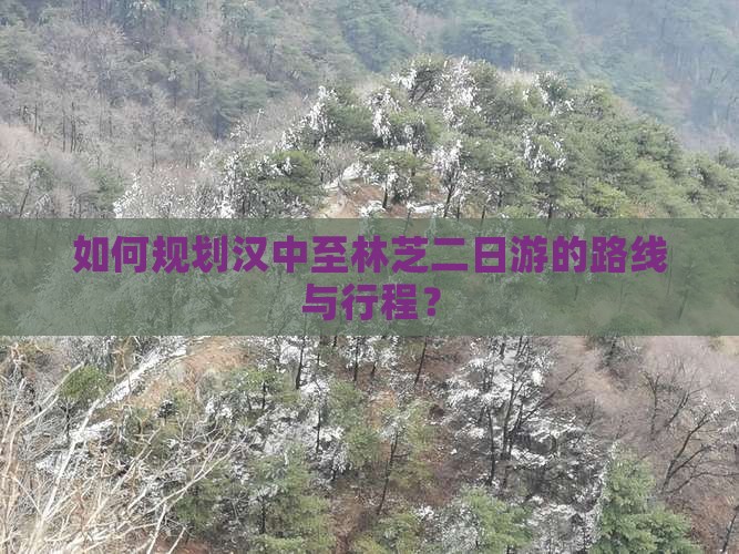 如何规划汉中至林芝二日游的路线与行程？