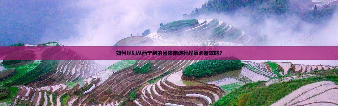 如何规划从西宁到的团体旅游行程及必备攻略？