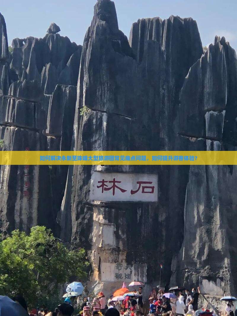 如何解决永新至珠峰大型旅游团常见痛点问题，如何提升游客体验？