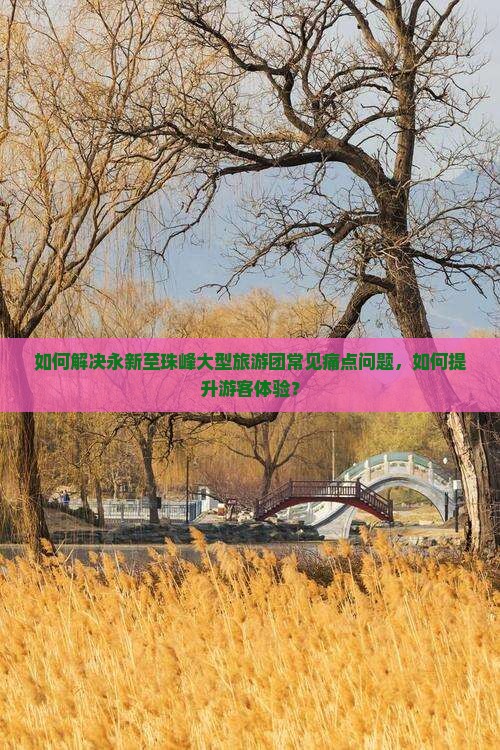 如何解决永新至珠峰大型旅游团常见痛点问题，如何提升游客体验？