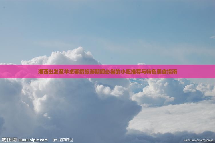 湘西出发至羊卓雍措旅游期间必尝的小吃推荐与特色美食指南