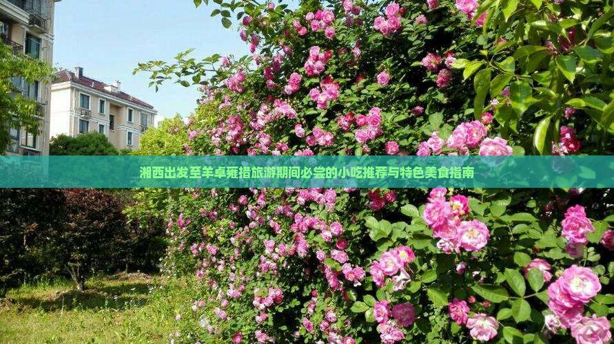 湘西出发至羊卓雍措旅游期间必尝的小吃推荐与特色美食指南