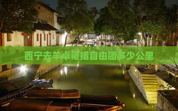 西宁去羊卓雍措自由团多少公里