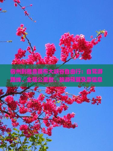 宿州到雅鲁藏布大峡谷自由行：自驾游路线、全程公里数、旅游预算及票信息