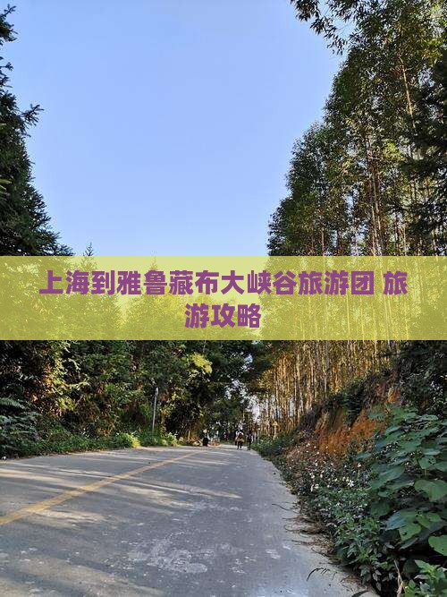 上海到雅鲁藏布大峡谷旅游团 旅游攻略