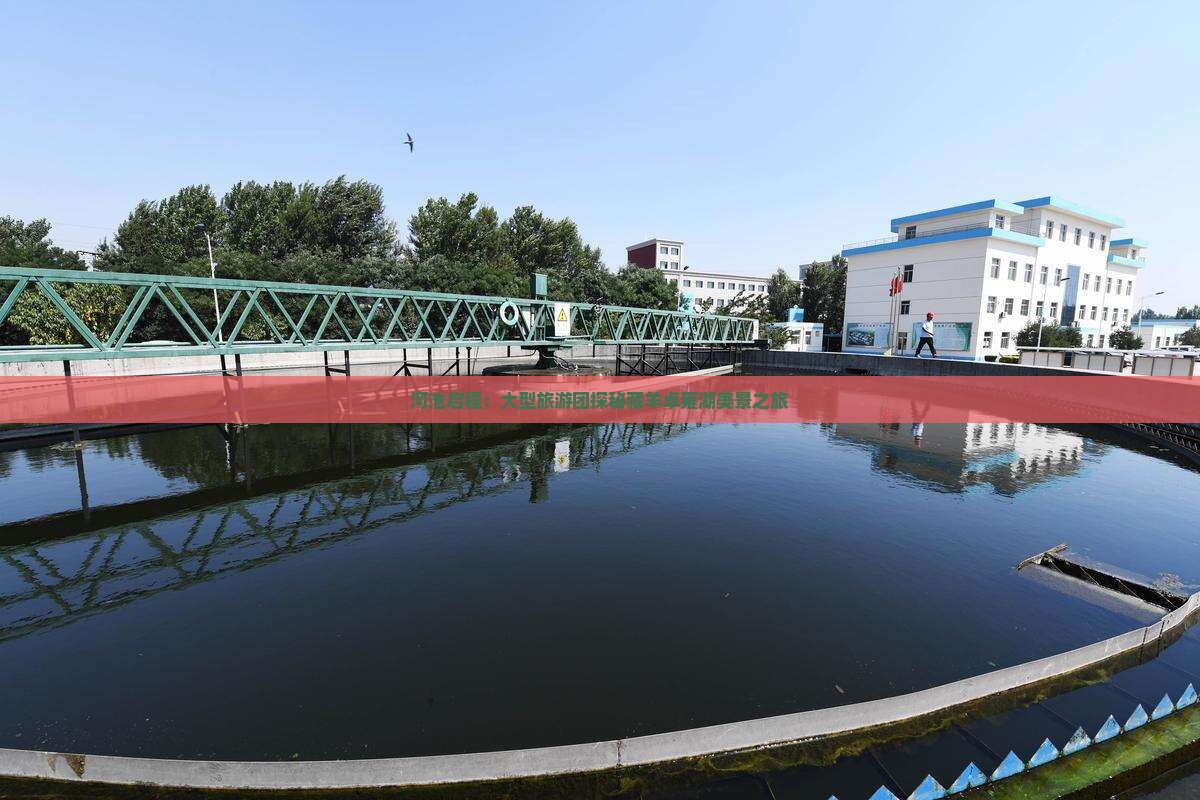 河池启程：大型旅游团探秘藏羊卓雍湖美景之旅