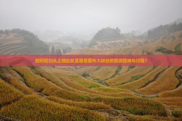 如何规划从上饶出发至雅鲁藏布大峡谷的旅游路线与行程？