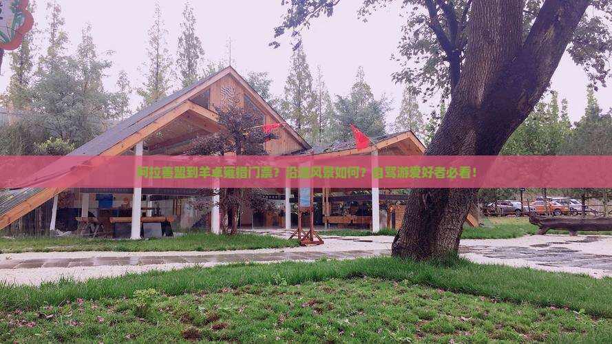 阿拉善盟到羊卓雍措门票？沿途风景如何？自驾游爱好者必看！