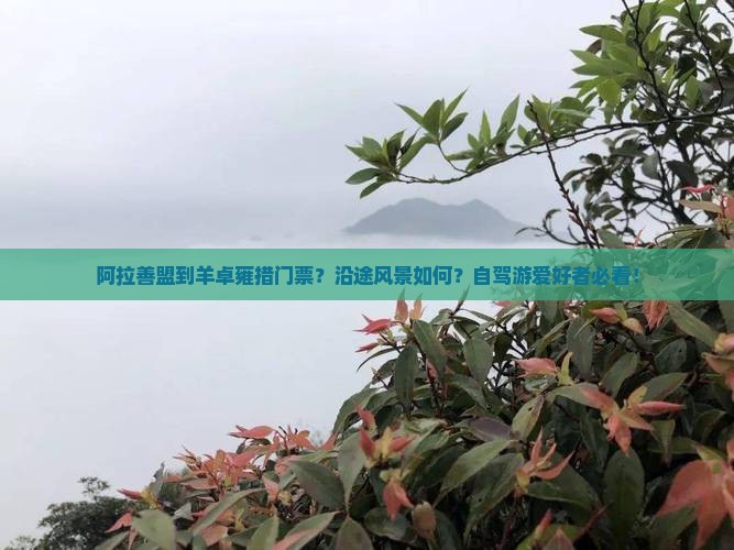 阿拉善盟到羊卓雍措门票？沿途风景如何？自驾游爱好者必看！