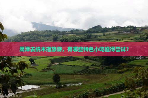 鹰潭去纳木措旅游，有哪些特色小吃值得尝试？