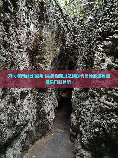 为何陇南到日喀则门票价格如此之缚探讨高原旅游痛点及热门新趋势！