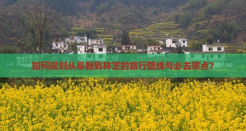 如何规划从阜新到林芝的旅行路线与必去景点？