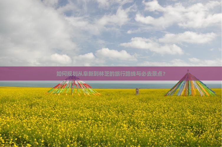 如何规划从阜新到林芝的旅行路线与必去景点？
