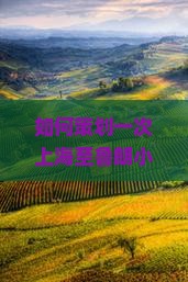 如何策划一次上海至鲁朗小镇的高品质团体旅游，解决高原适应难题？