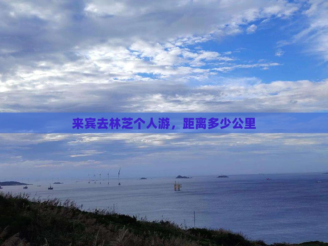 来宾去林芝个人游，距离多少公里